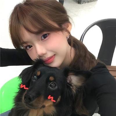 花落莺啼春